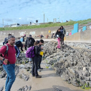 Portmarnock, Tober Colleen Formation