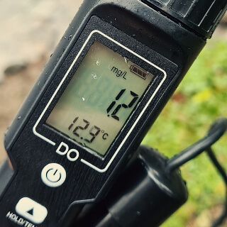 River Liffey Field Trip, April 2023 2