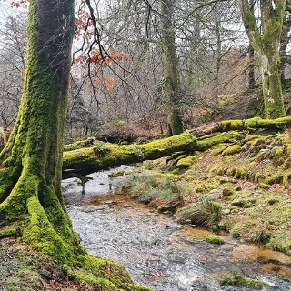 River Liffey Field Trip, April 2023 4